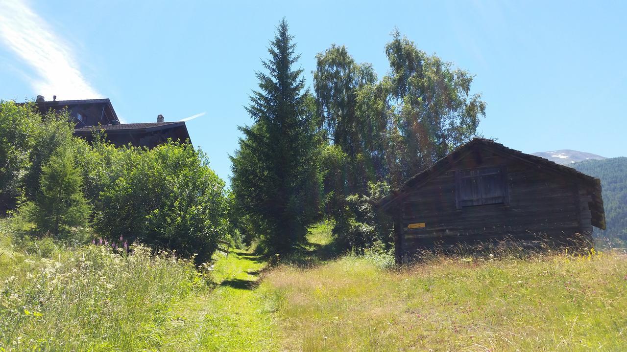 Chalet Bergmann Burchen Екстер'єр фото