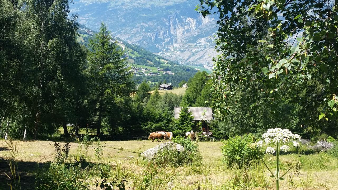 Chalet Bergmann Burchen Екстер'єр фото