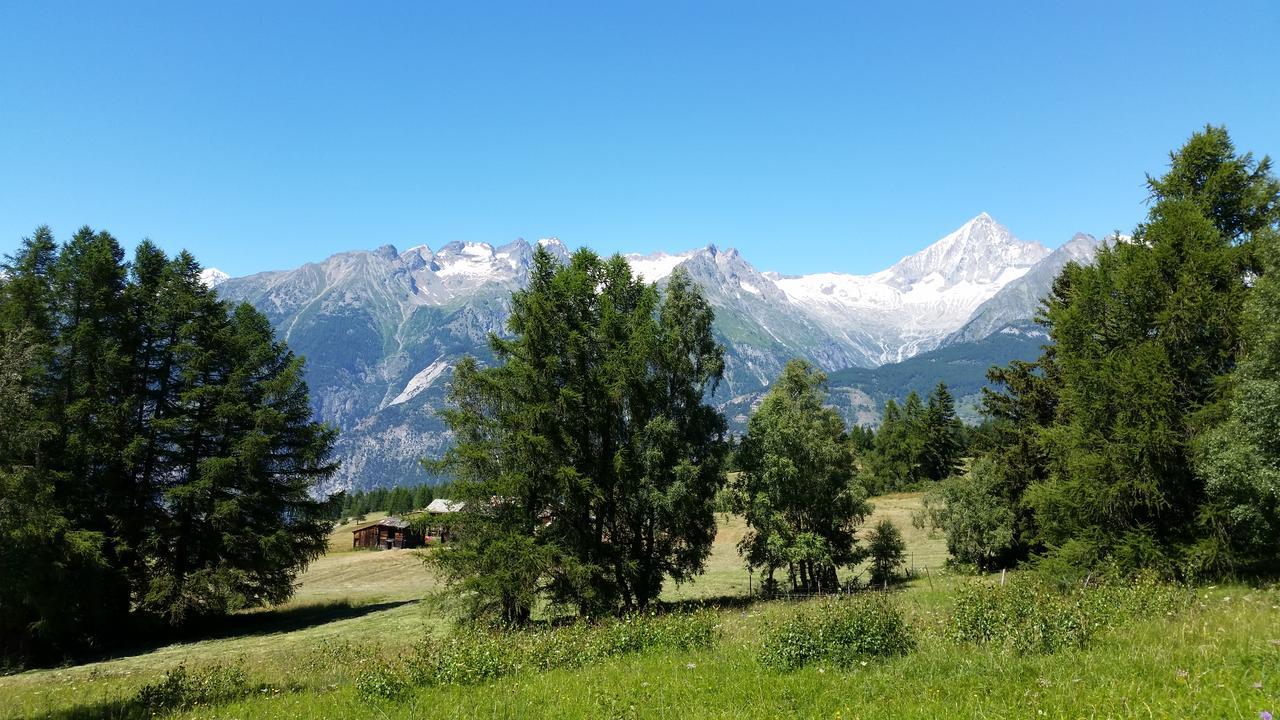 Chalet Bergmann Burchen Екстер'єр фото