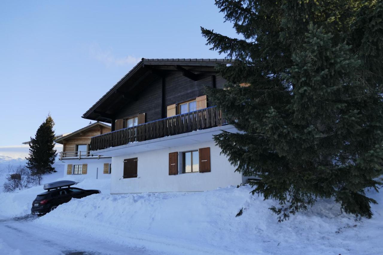 Chalet Bergmann Burchen Екстер'єр фото